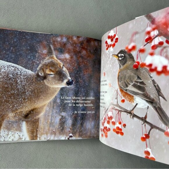 FRENCH ~ Premiere neige ~ Hardcover ~ Brand New - Picture 4 of 9